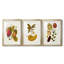Exotic Botanicals I - Impression personnalisée de qualité supérieure avec cadre mat - 3 pièces-123806313-123806312