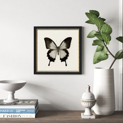 " Butterfly III BW " by Debra Van Swearingen