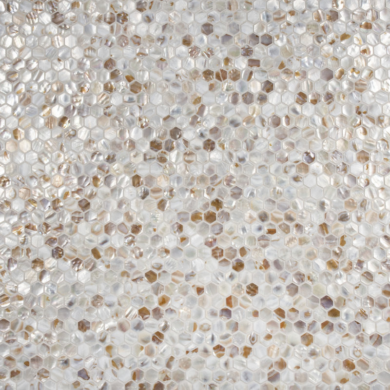 Conchella 11-1/2" x 11-5/8" Natural Shell Mosaic Wall Tile