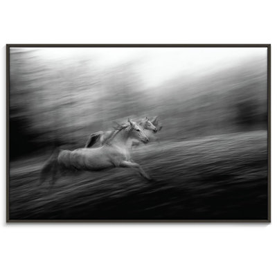 Print on Canvas