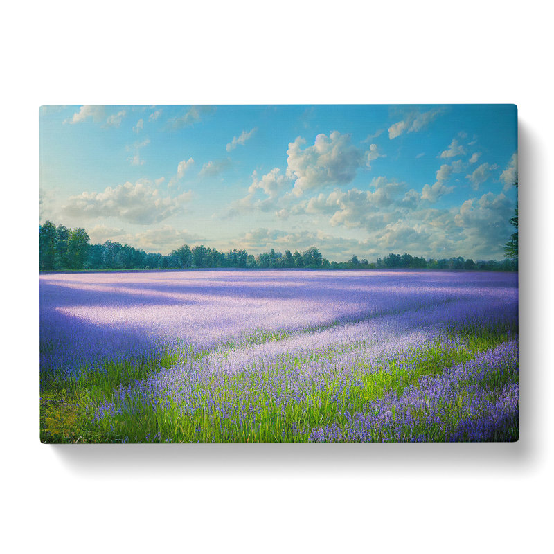 Heartwarming Bluebell Field - Wrapped Canvas, 35cm H x 50cm W x 3cm D