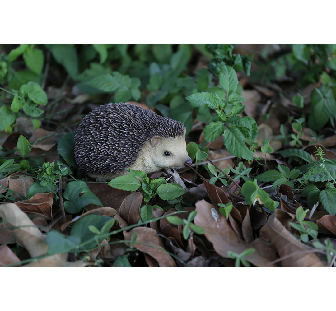Sitting Hedgehog Statue Hi-Line Gift Ltd.