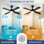 Ventilateurs de plafond avec lumières-2027251643-2027251642