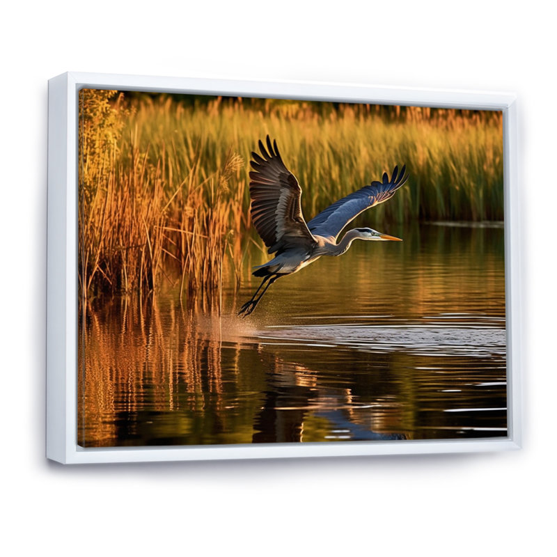 Heron In Delaware Lakes sur impression sur toile, H 30 po x l 40 po x P 1,5 po, Cadre flottant blanc