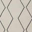 Tapis intérieur / extérieur à treillis beige / noir 8 pi x 11 pi (7 pi 10 po x 10 pi 10 po) Lenya de Branch Branch-566972000