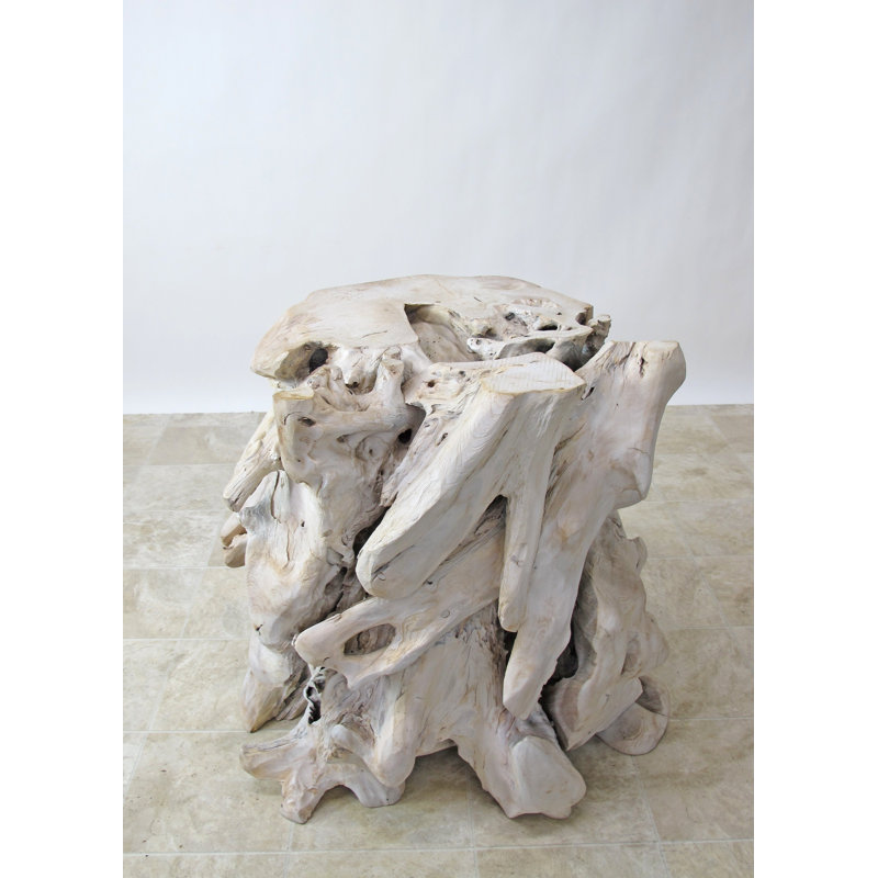 Teak Root Sculpture