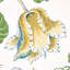 Papier peint Josephine-55967384