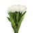 White is out of stock