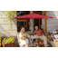 Parasol de table 10 pi