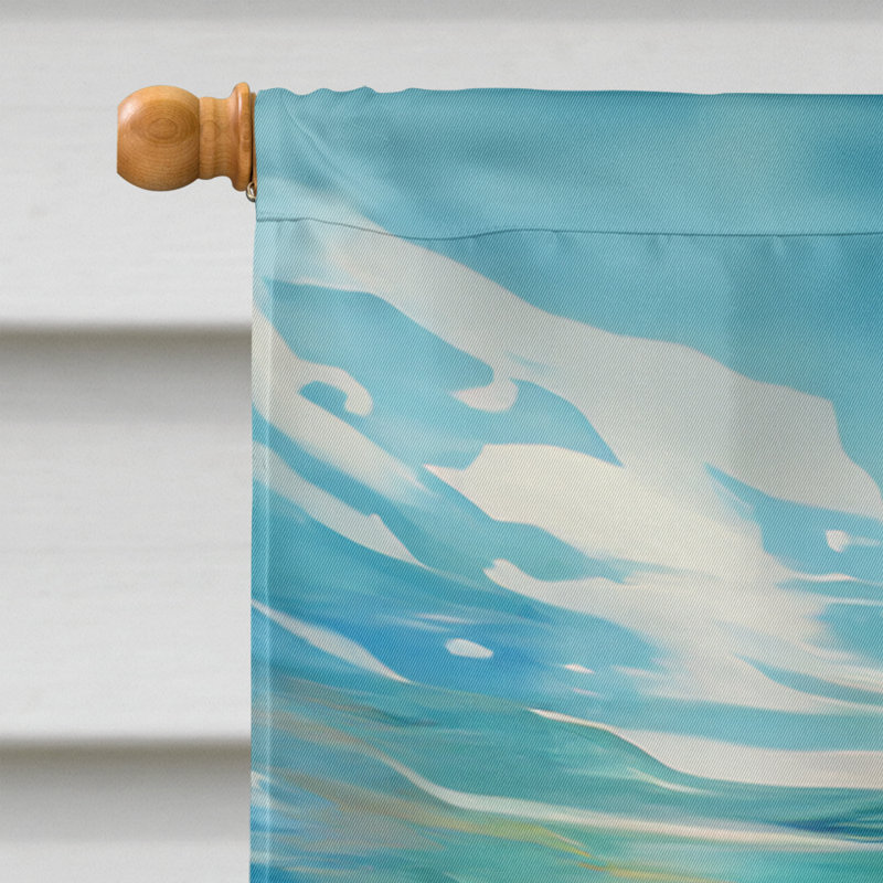 Bido Double Sided 40'' H x 28'' W Polyester House Flag