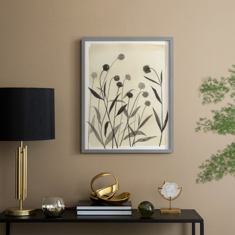 Summer Echinachea I Framed Print - Solid Wood, H 30 po x l 24 po, Gris