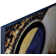Ginger by Britto - Single Picture Frame Painting on MDF