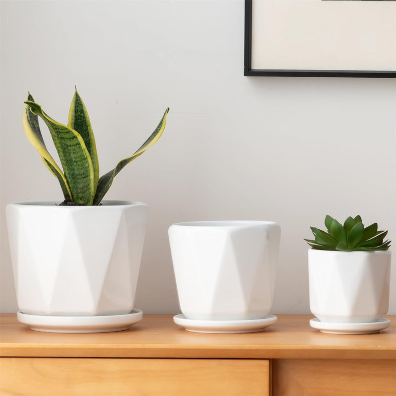 Set Of 3 Octagon White Ceramic Planters