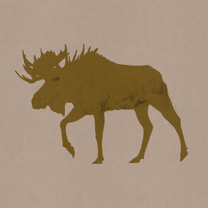 Golden Moose II by Jacob Green - Wrapped Canvas Print, 30cm H x 30cm W x 3.8cm D