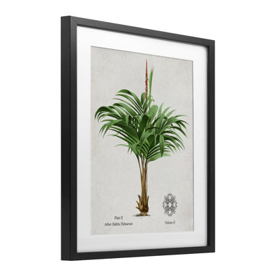 Reproduction sous verre rétro encadrée de palmier large, design par Val Rhodes