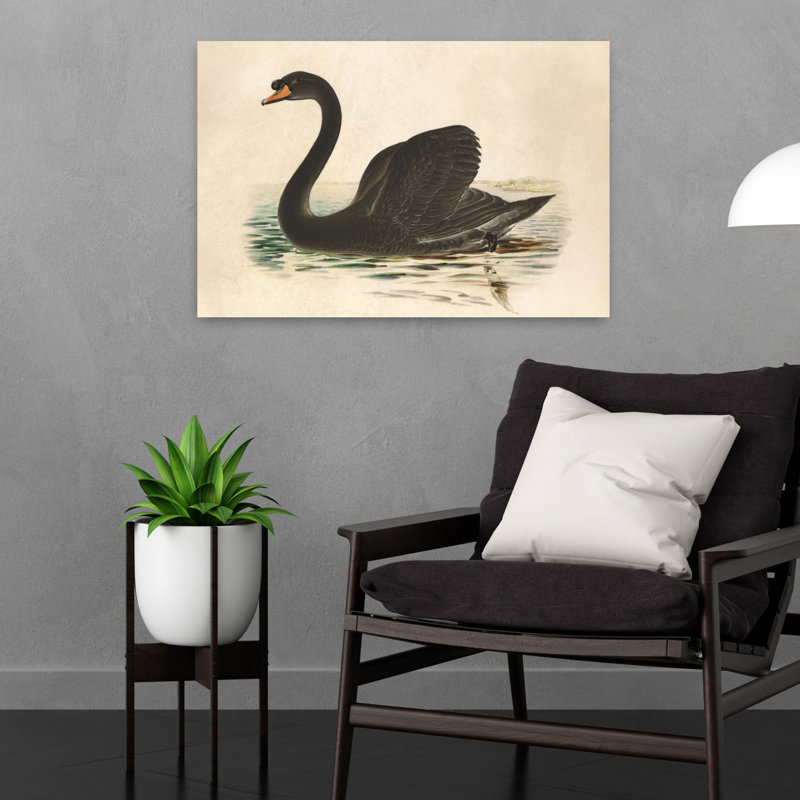 Cygne noir antique, art animalier contemporain, H 24 po x l 16 po