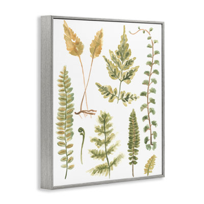 Feuilles de fougère variées June Erica Vess bg-053