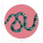 Sous-verres ronds en cuir Serpent-119015239