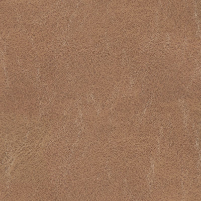 Saddle Brown Sample