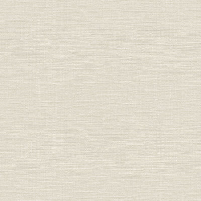 Intrigue 33cm x 52cm Texture Wallpaper Roll