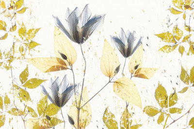 Wrapped Canvas Print, 50.8 cm H x 76.2 cm W