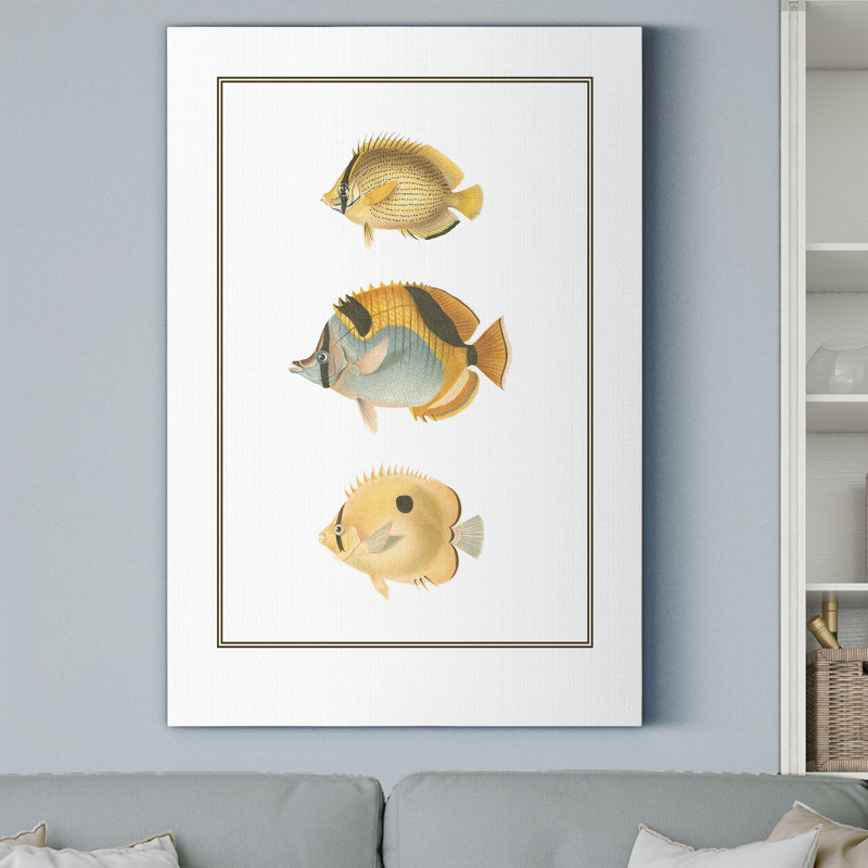 Antique Tropical Fish I - impression sur toile tendue, H 36 po x l 24 po x P 1 po