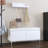 Wall-Mounted Entryway Shelf With Hooks And Storage Bench Set