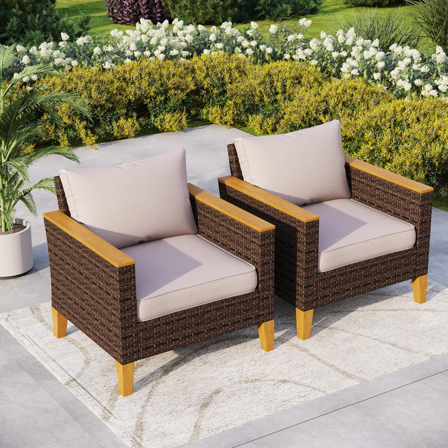 Argyri Wicker Outdoor Patio Chair with Cushions