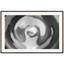 Inner Bean Framed Painting by Ted Glasoe