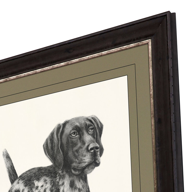«Canine Gaze», impression murale encadrée brune