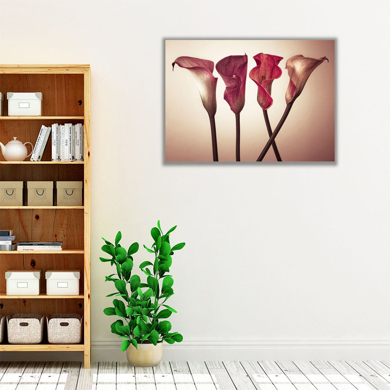 Four Calla Lilies 3 - Canvas Print Wall Art, 45" H x 60" W