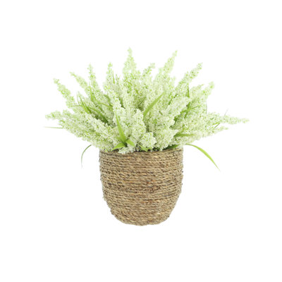 Heather in Strawgrass Pot