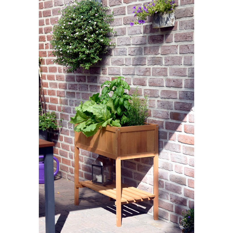 Aalap Wood Raised Garden Bed