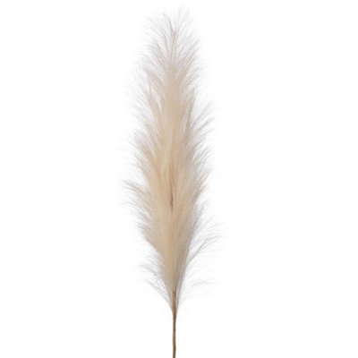 Fard à joues rose pampas rosé