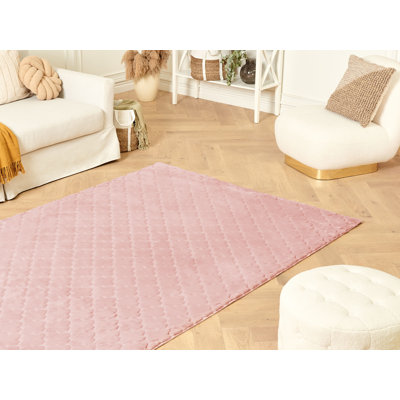 Dunnstown Geometric Hand Woven Area Rug