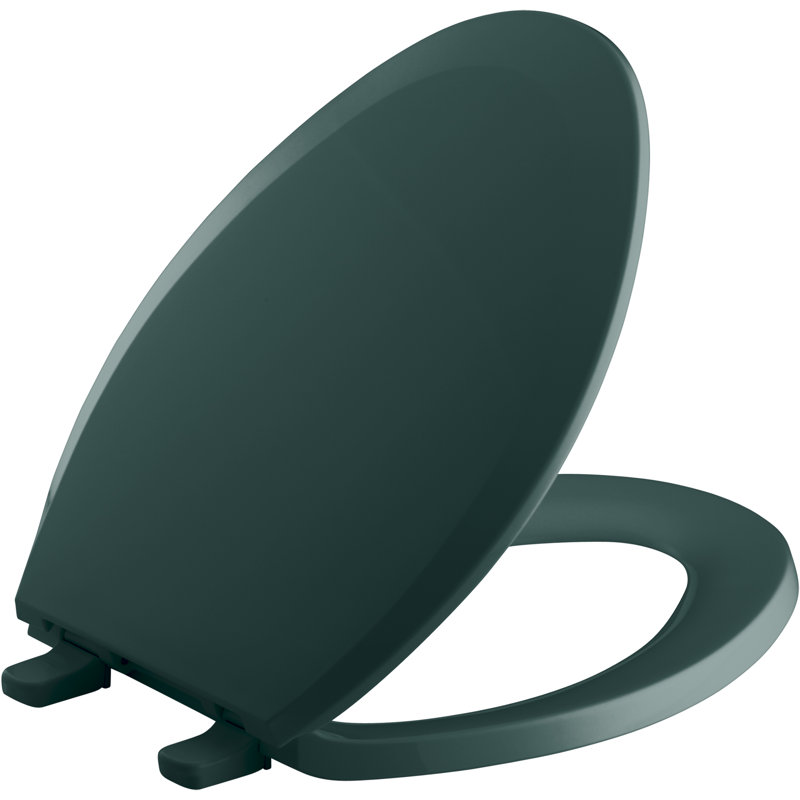 Lustra with Quick-Release Hinges Toilet Seat, Teal, Elongated