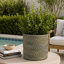 Jardinière cylindrique, motifs de plumes surélevées, terre cuite grise et dorée 7 pouces