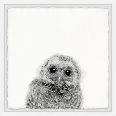 Those Big Eyes by Marmont Hill - Single Picture Frame Print