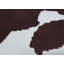 Banc rembourré Daisy-2028945658