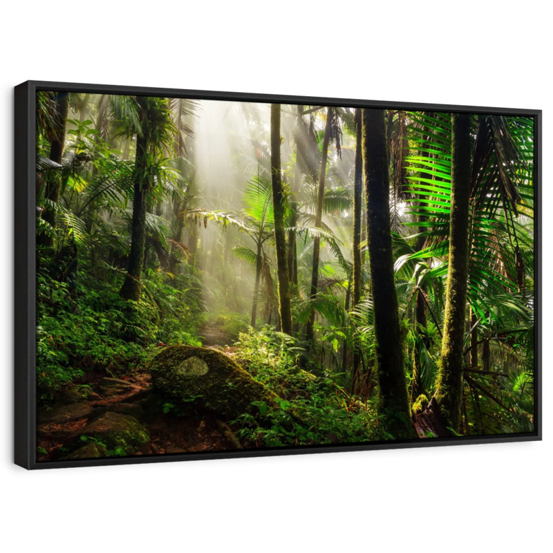 El Yunque National Forest Canvas Print, 17" H x 25" W