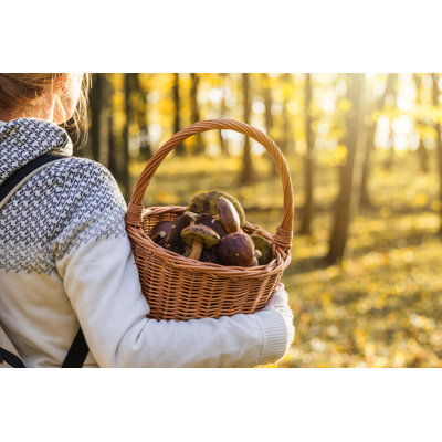 Woman With Mushrooms In Wicker Basket In Autumn Forest - Wrapped Canvas Print
