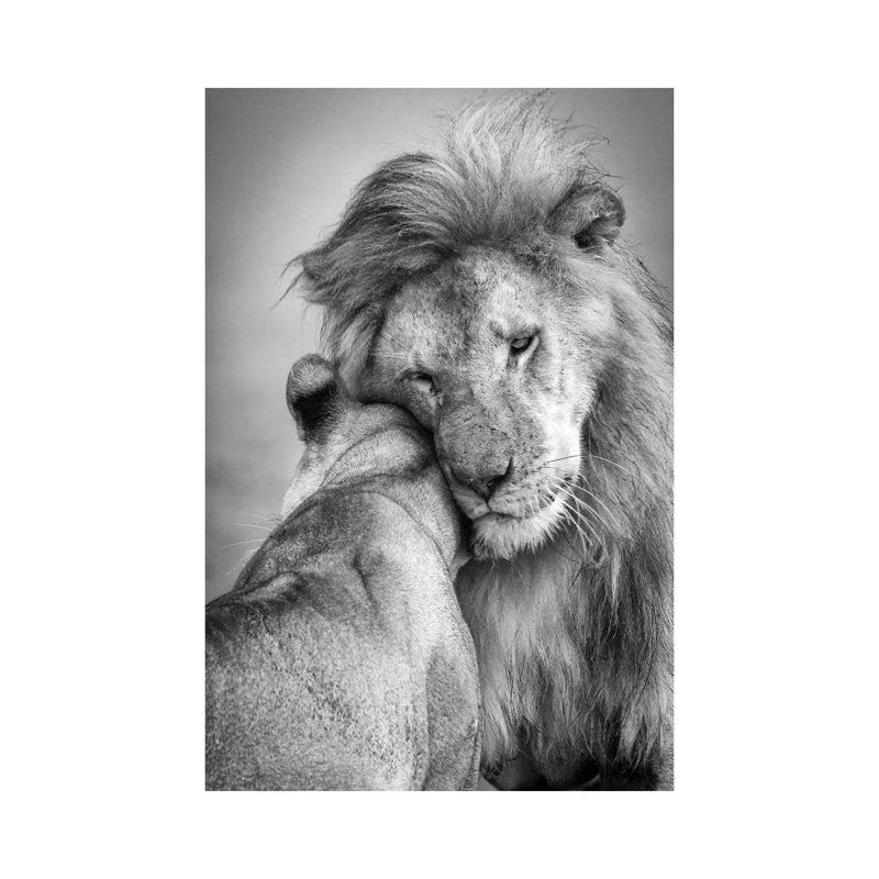 African Love! 1 Piece Wrapped Canvas Wall Art, 66.04 cm H x 45.72 cm W x 1.91 cm D