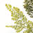 Gilda 40 " H Faux Plant