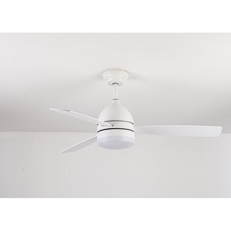 Breeauna 122Cm Ceiling Fan With Led Lights