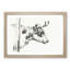 Horns of the Cow by Jean Bernard - Picture Frame Drawing Print-55580315-55580322