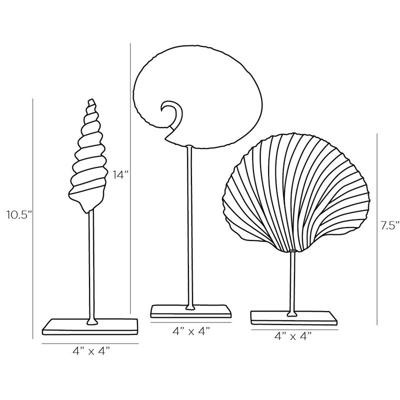 3 Piece Shell Sculpture Set