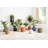 Black Metal Indoor Outdoor Planter with Removable Stand-1554480426