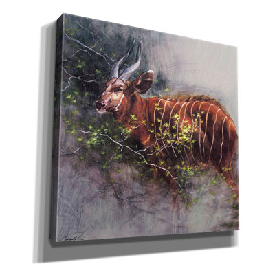 Art mural sur toile «Bongo In The Brush» par Robert Campbell