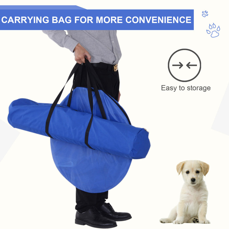 Blue and Yellow Dog Agility Training Course Kit