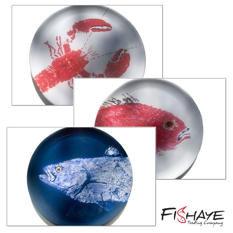 Mix & Match 4 Plates – Ocean & Nautical Tableware